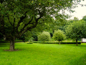 Garten 01 der Ferienwohnung Wohldkoppel Kiel