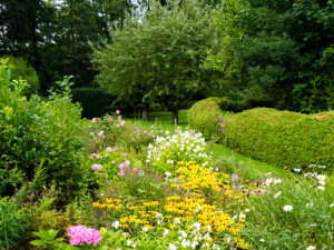 Garten 02 der Ferienwohnung Wohldkoppel Kiel